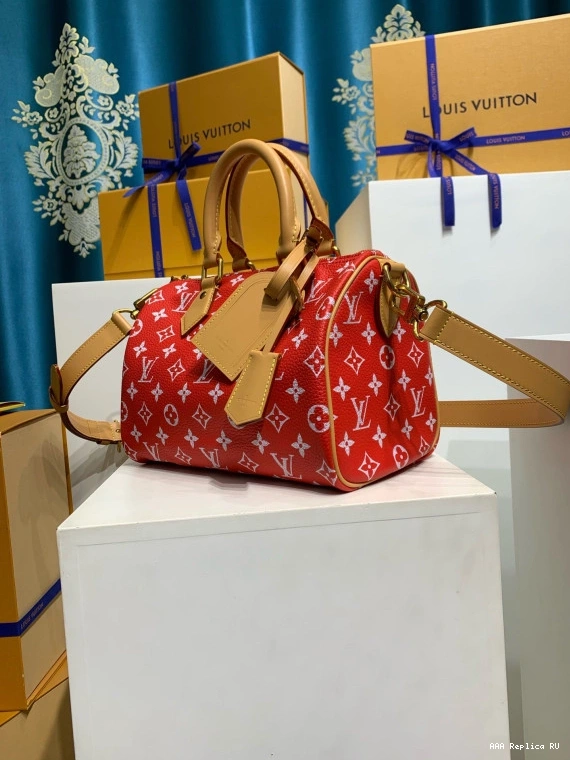 Aaa replica bags Bandoulière P9  VUITTON 25 LOUIS Speedy 0813